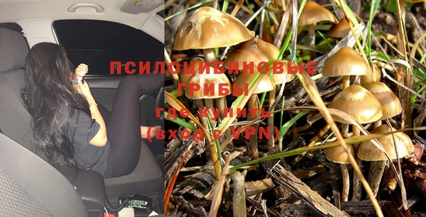 бутик Алексеевка